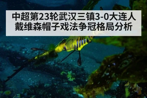 中超第23轮武汉三镇3-0大连人戴维森帽子戏法争冠格局分析