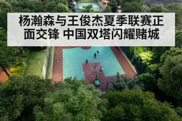 Chinese basketball center
