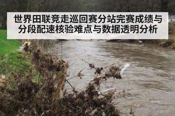世界田联竞走巡回赛分站完赛成绩与分段配速核验难点与数据透明分析
