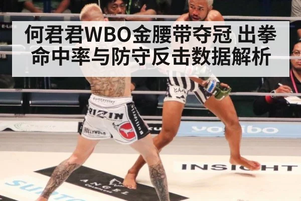 何君君WBO金腰带夺冠 出拳命中率与防守反击数据解析